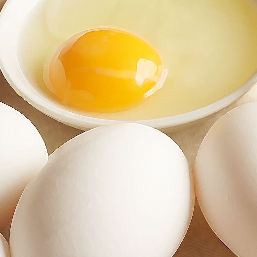 コッコツリー福島県喜多方市のカフェ Cocco treeの公式サイトです。 たまご 会津地鶏と福島県内産のいきいきたまごを使用してスイーツやフードメニューを作成しております。