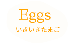 コッコツリー福島県喜多方市のカフェ Cocco treeの公式サイトです。 いきいきたまご