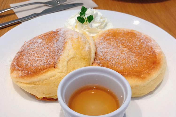 メニュー 料金 コッコツリー メニュー 料金 コッコツリー